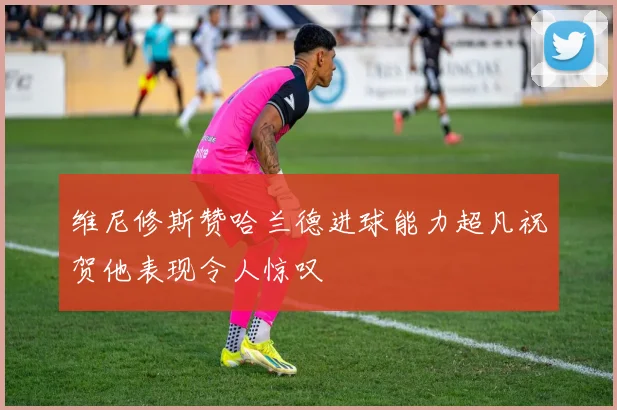 维尼修斯赞哈兰德进球能力超凡祝贺他表现令人惊叹